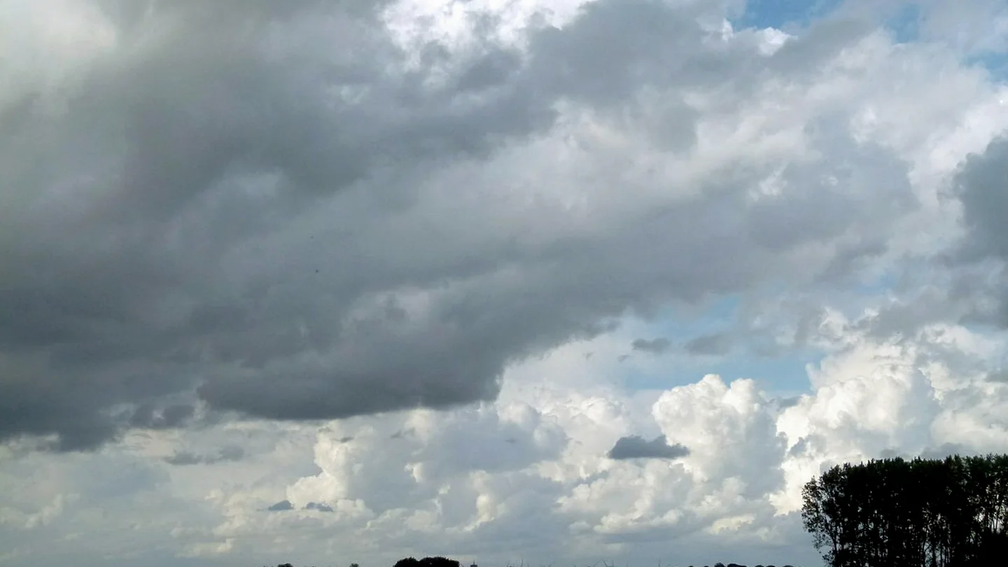 Open Fenland landscape beneath a broad sky